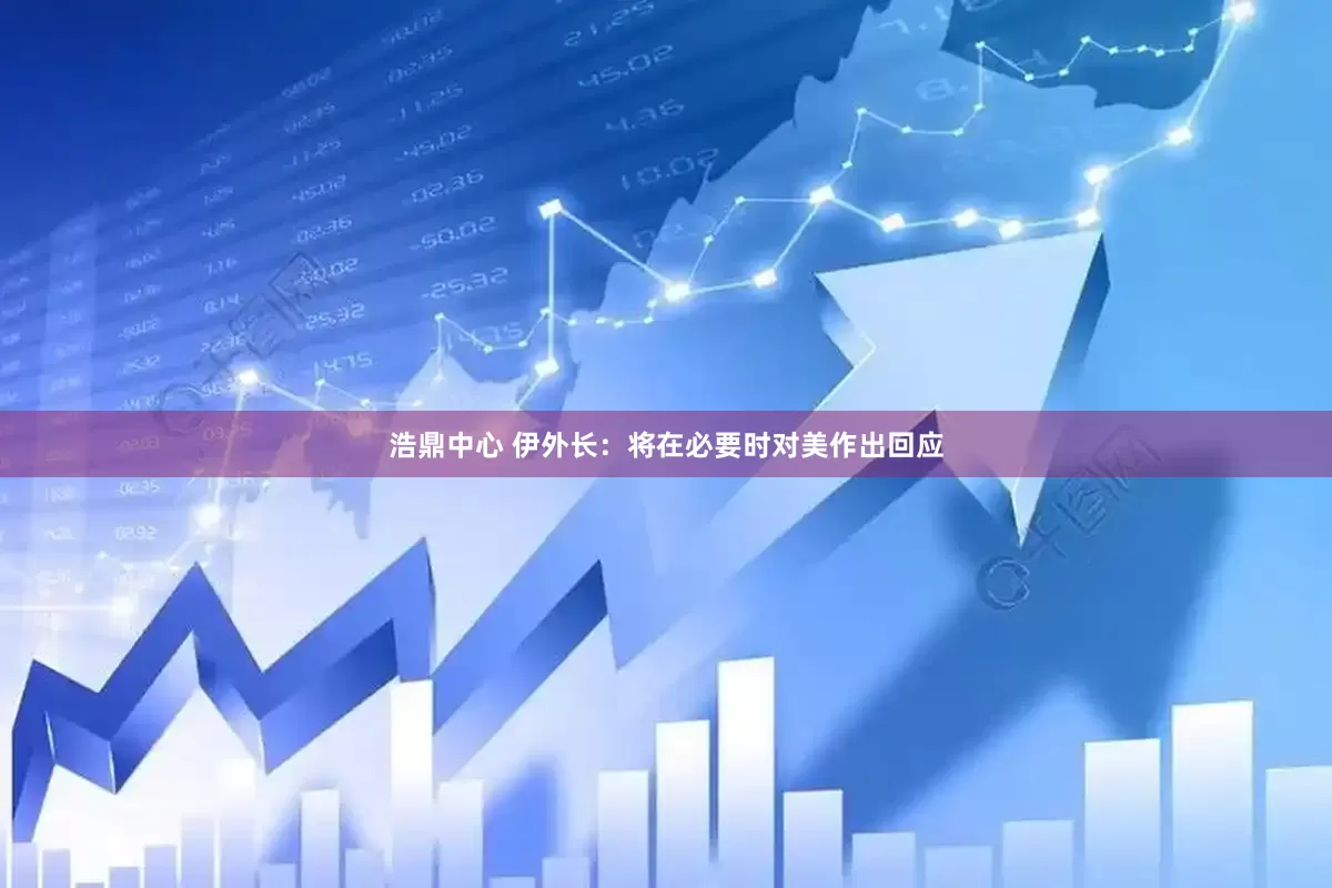 浩鼎中心 伊外长：将在必要时对美作出回应