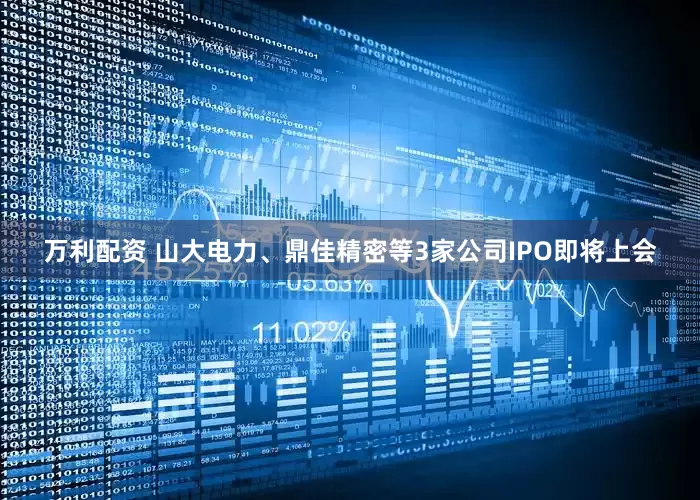 万利配资 山大电力、鼎佳精密等3家公司IPO即将上会