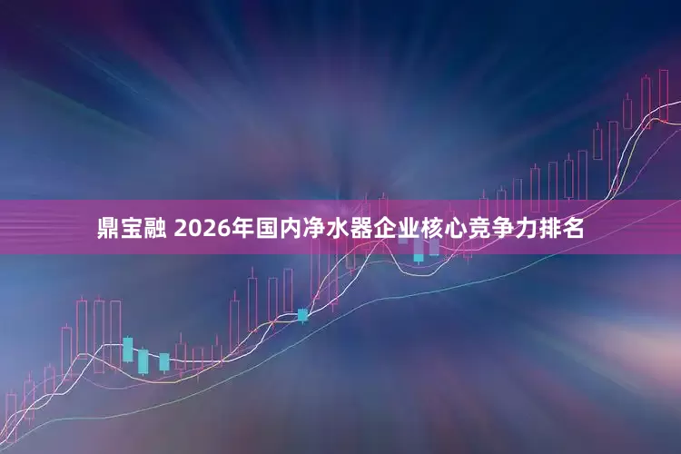 鼎宝融 2026年国内净水器企业核心竞争力排名