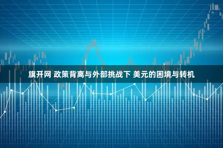 旗开网 政策背离与外部挑战下 美元的困境与转机