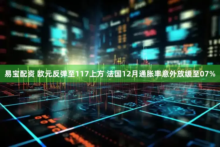 易宝配资 欧元反弹至117上方 法国12月通胀率意外放缓至07%