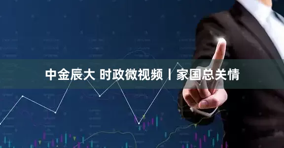 中金辰大 时政微视频丨家国总关情